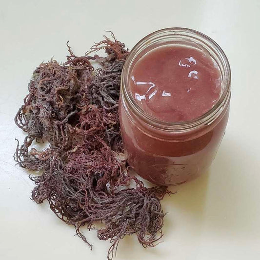 32 OZ Purple Tanzania Sea Moss gel 🇹🇿(DR.SEBI RECCOMENDED )Elderberry ,aguave ginger ,cinnamon infused